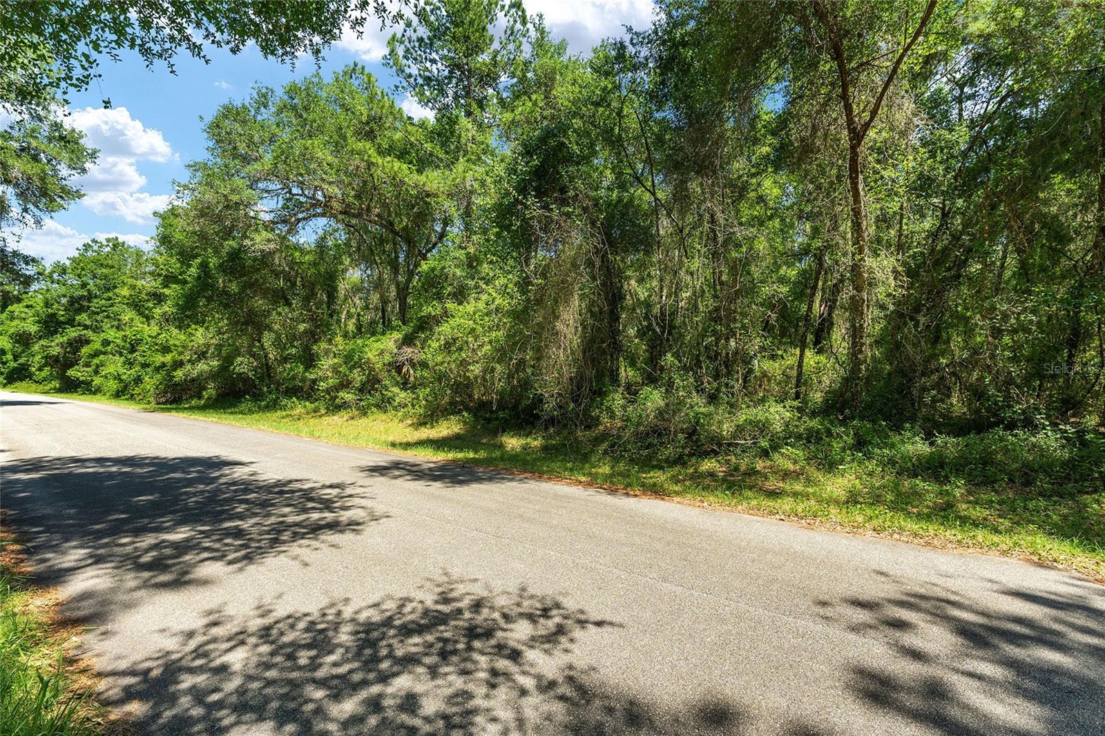 905 E Abend Dr, FL