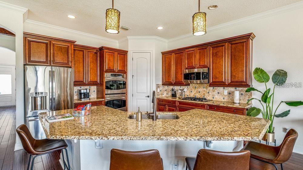 7411 Excitement Drive, FL