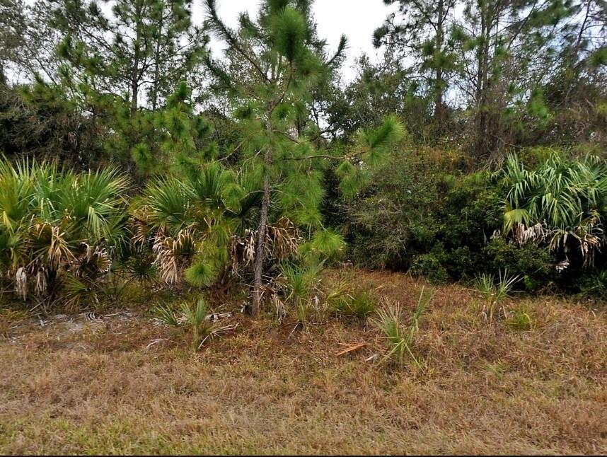 Van Leer Ave, FL