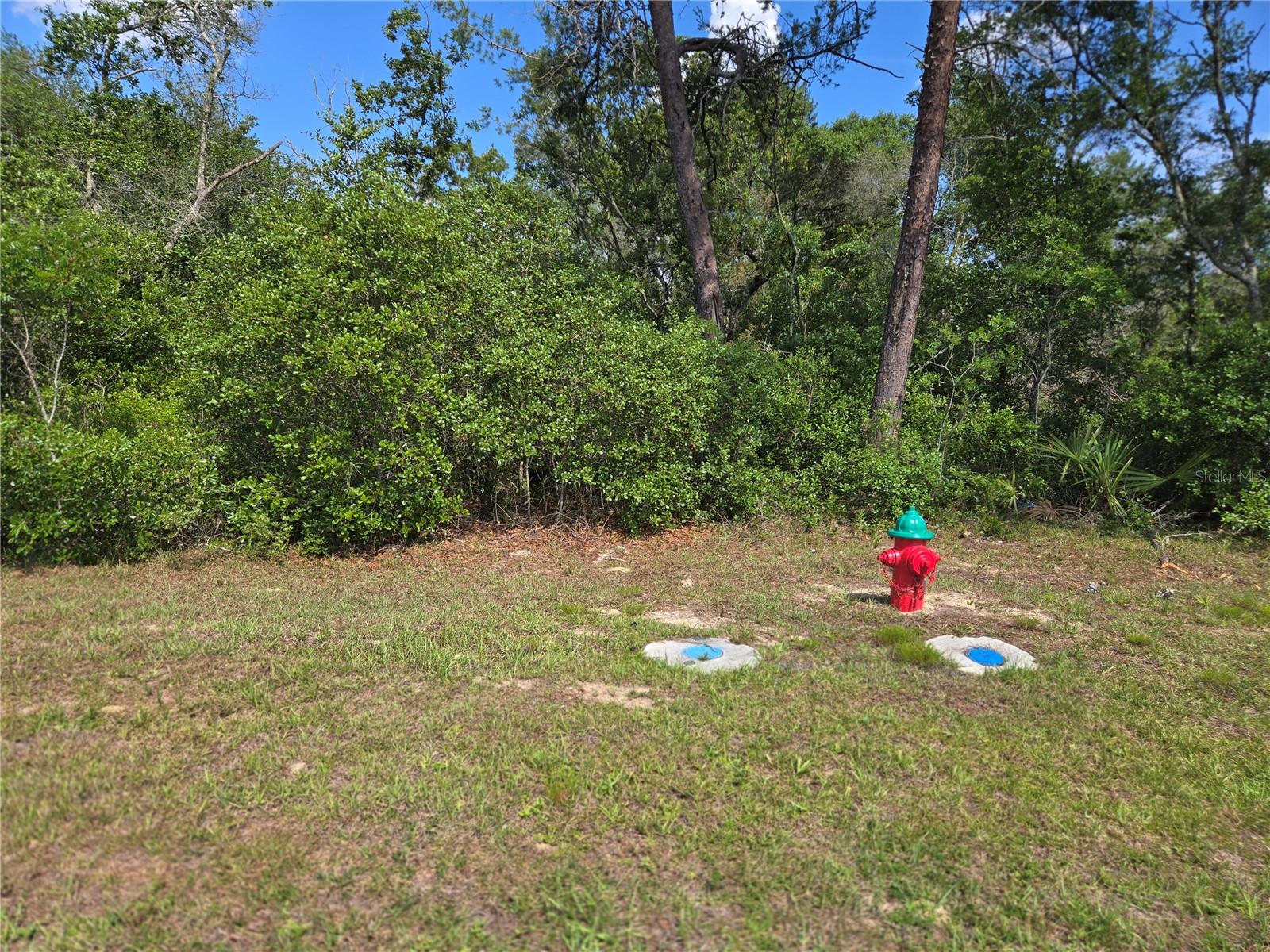 00 Marion Oaks Boulevard, FL