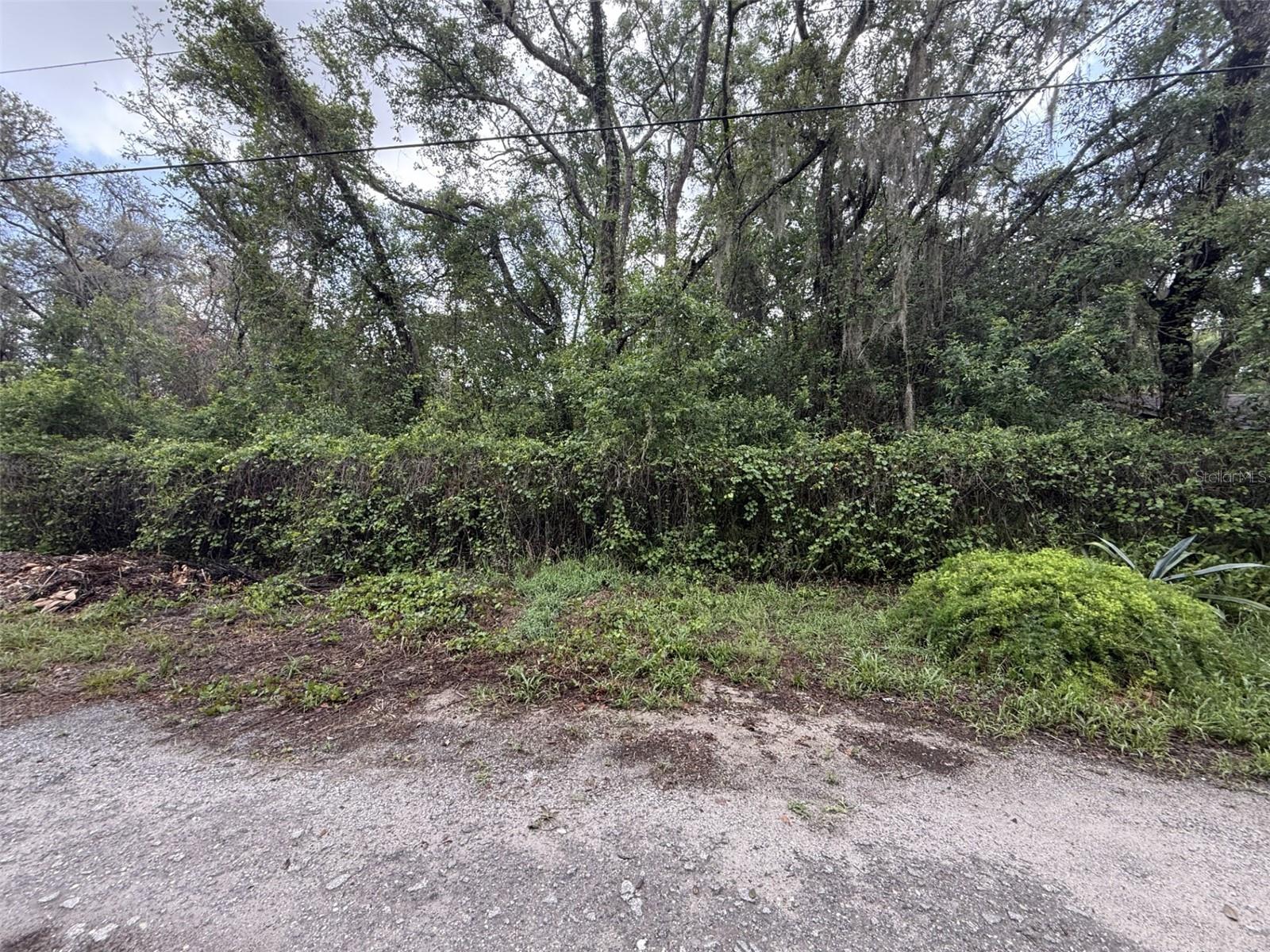 10934 Leon St, FL