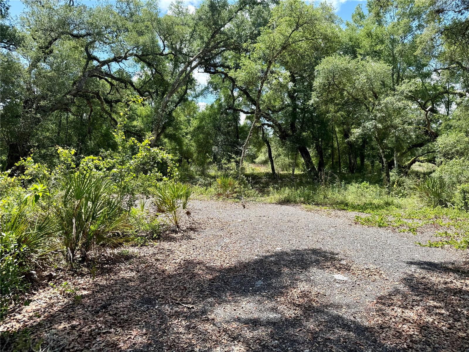 Long Circle, FL