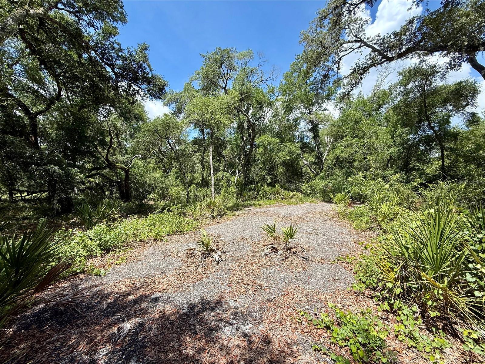Long Circle, FL