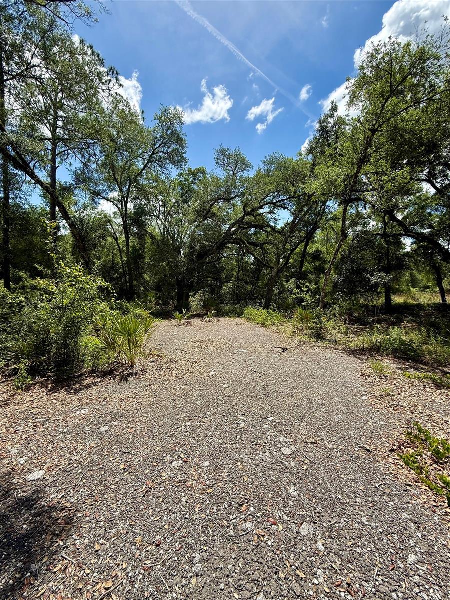Long Circle, FL