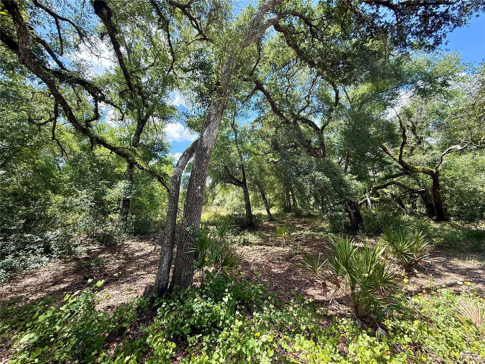 Long Circle, FL