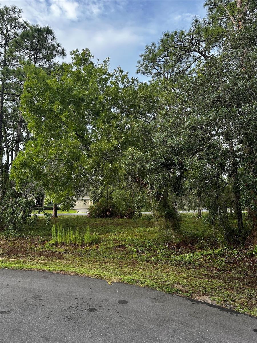 2 Barkwood Point, FL