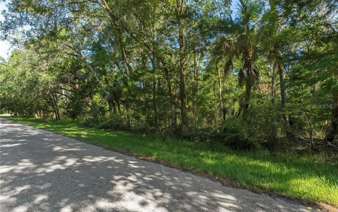 10975 Rockhaven Lane, FL