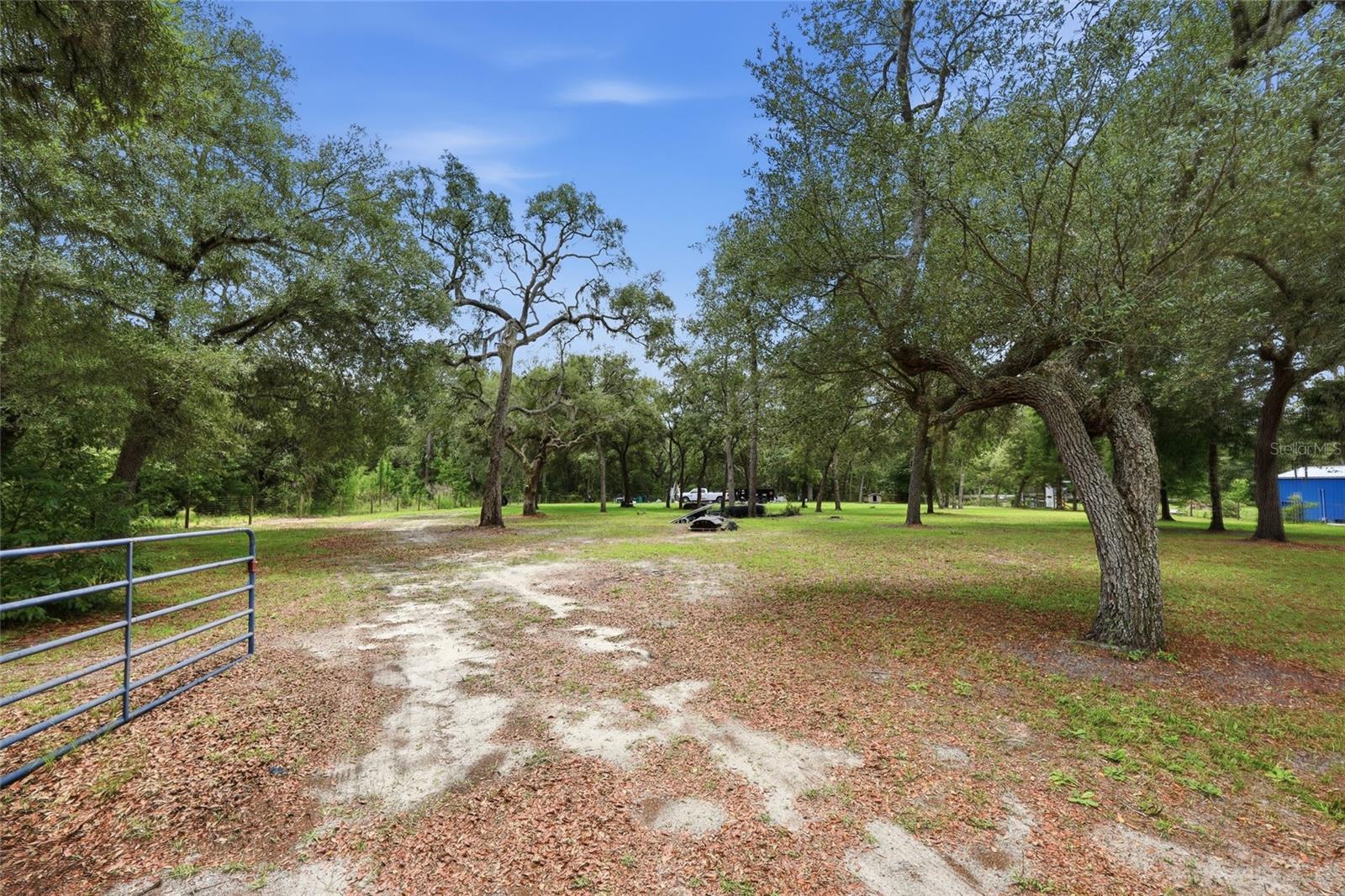 5956 Green Acres Street, FL