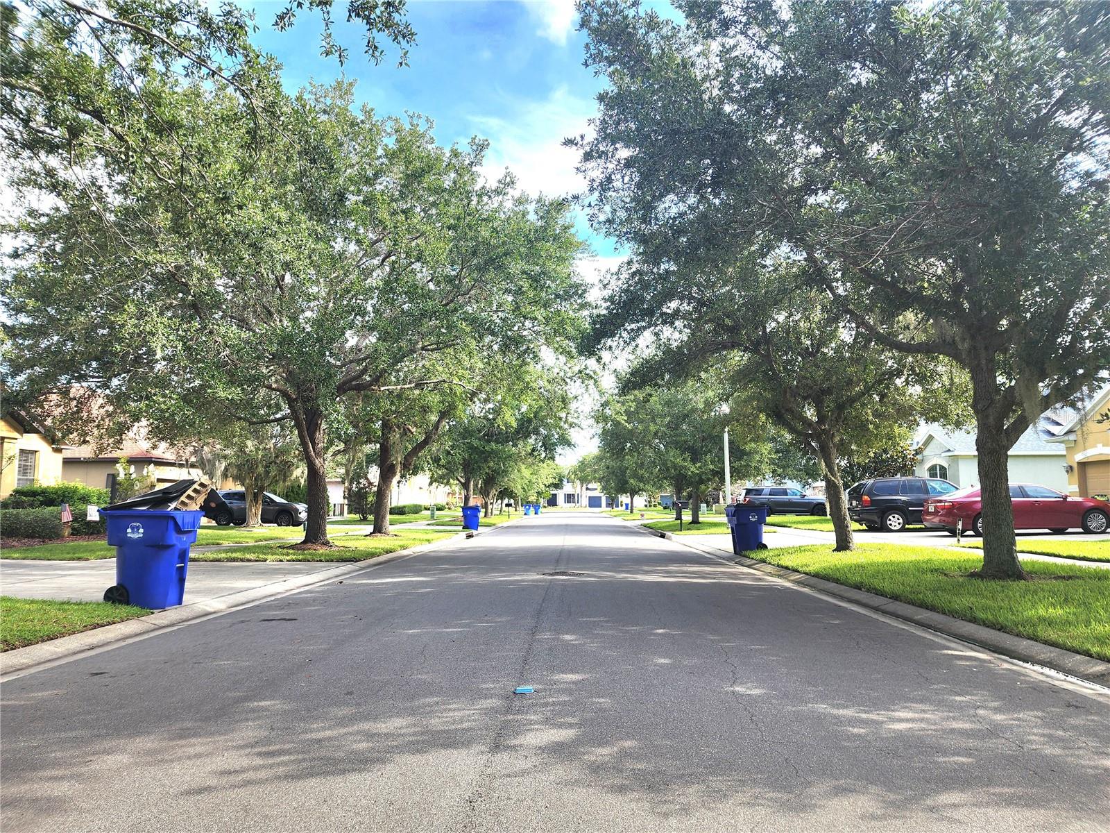 4061 Asheville Lane, FL