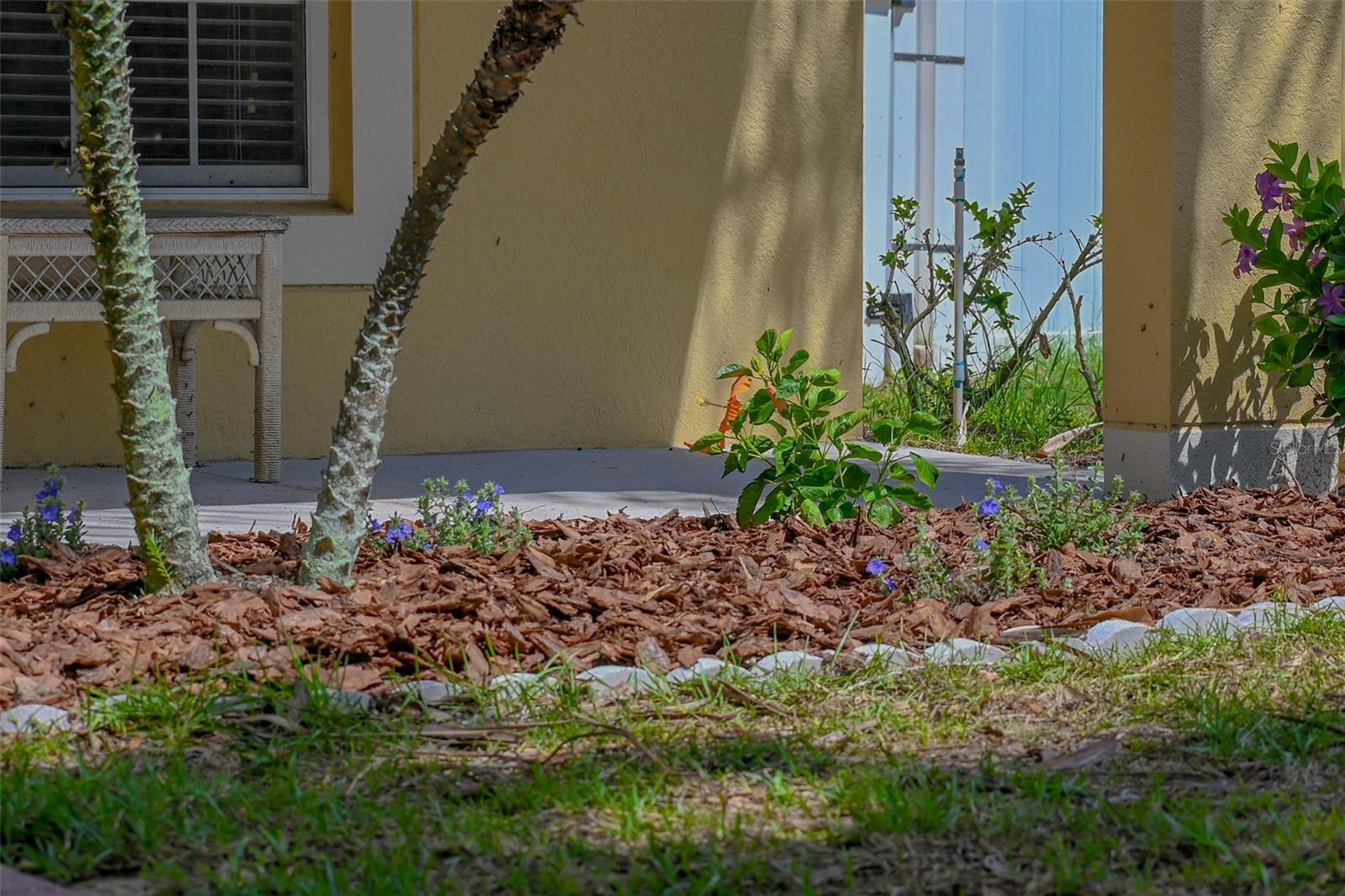 2019 Honeybell Avenue, FL