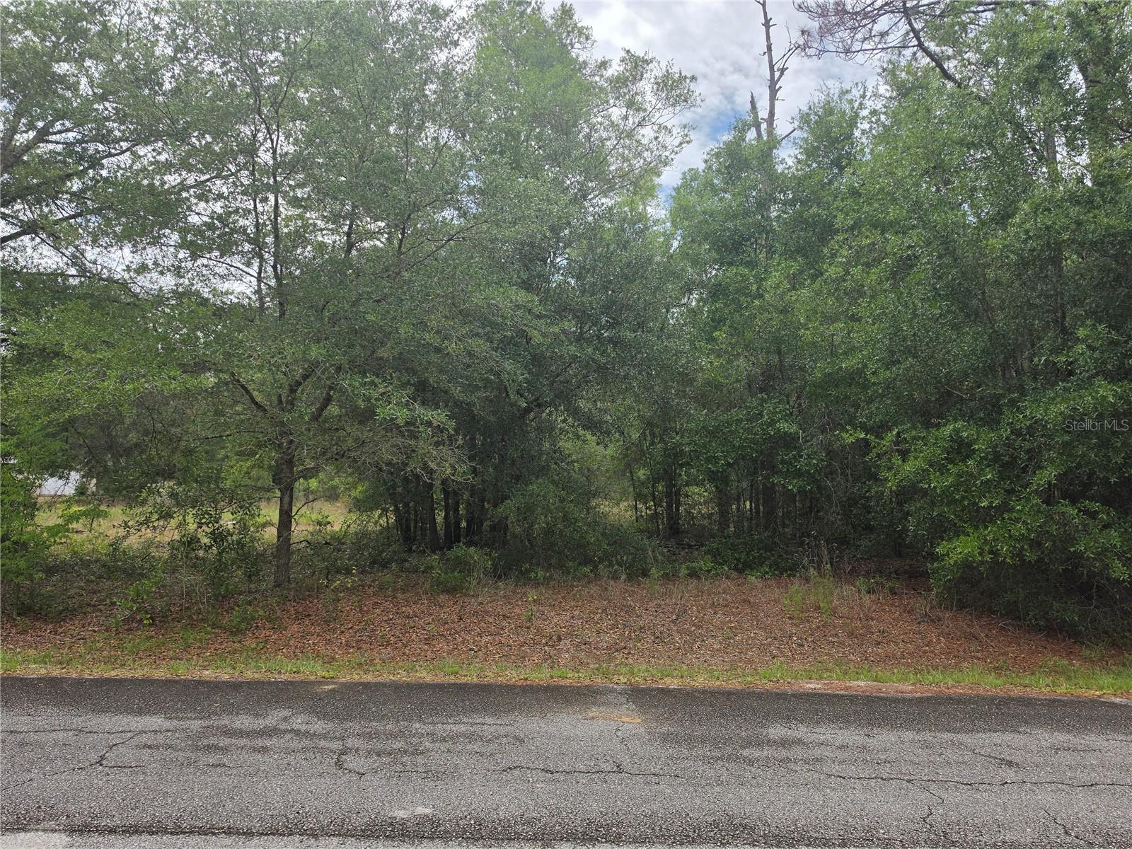 Sw 202nd Ct, FL