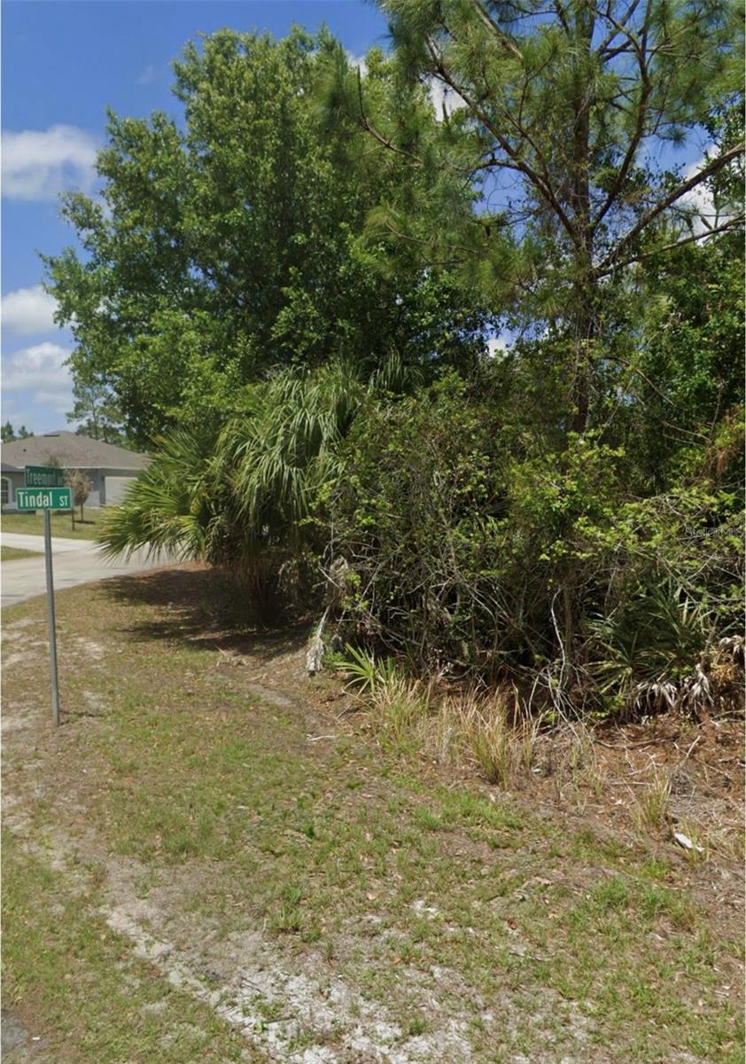 297 Tindal St Sw, FL