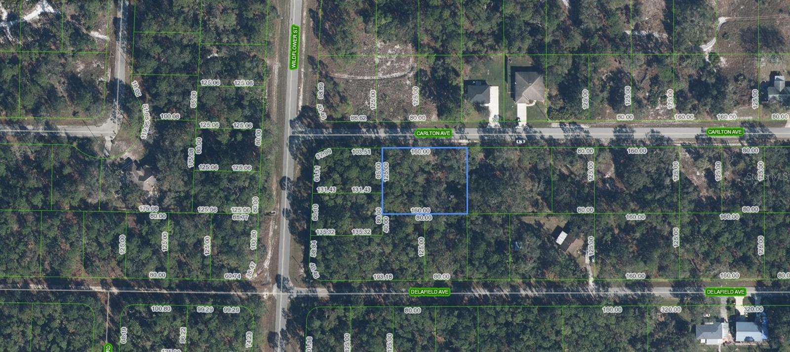 3154 Carlton Ave, FL