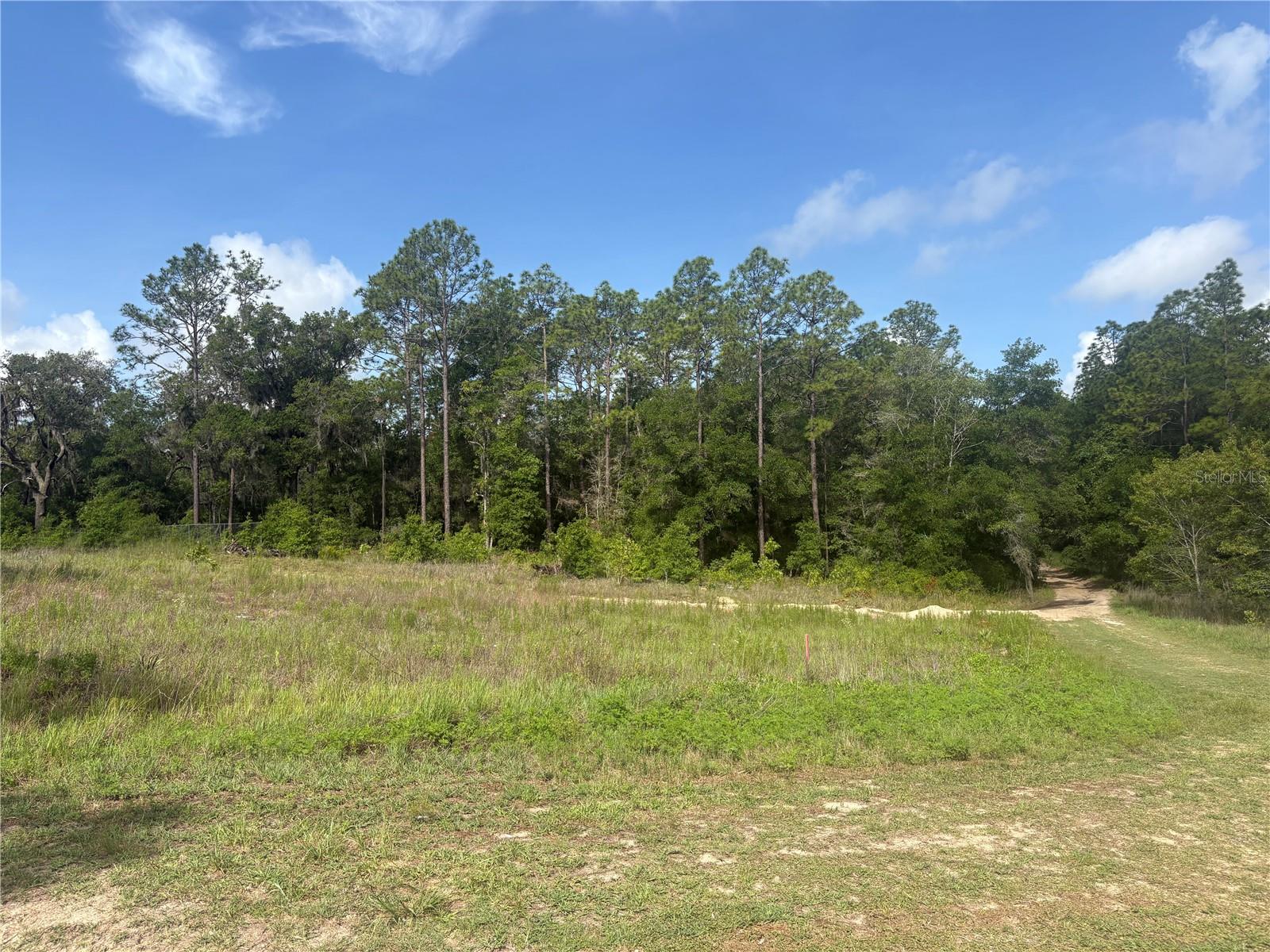 Tbd Sw 152 Ct, FL