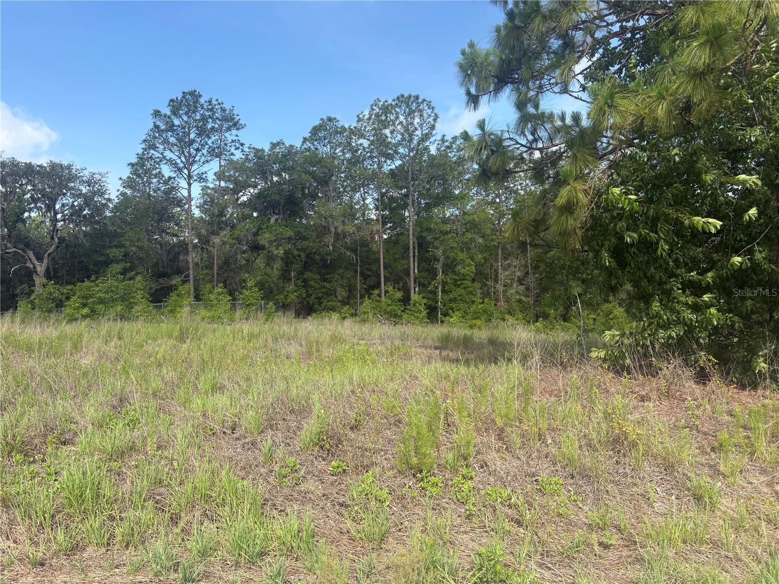 Tbd Sw 152 Ct, FL