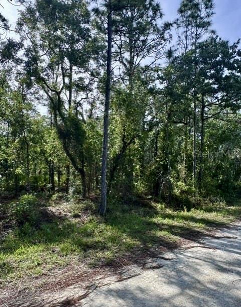 Macek Road, FL