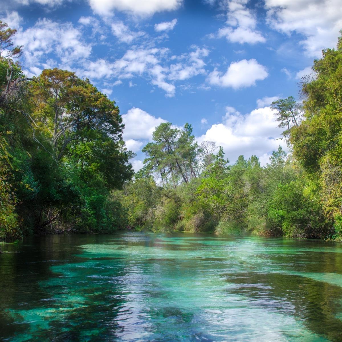 Macek Road, FL