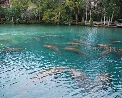 Macek Road, FL