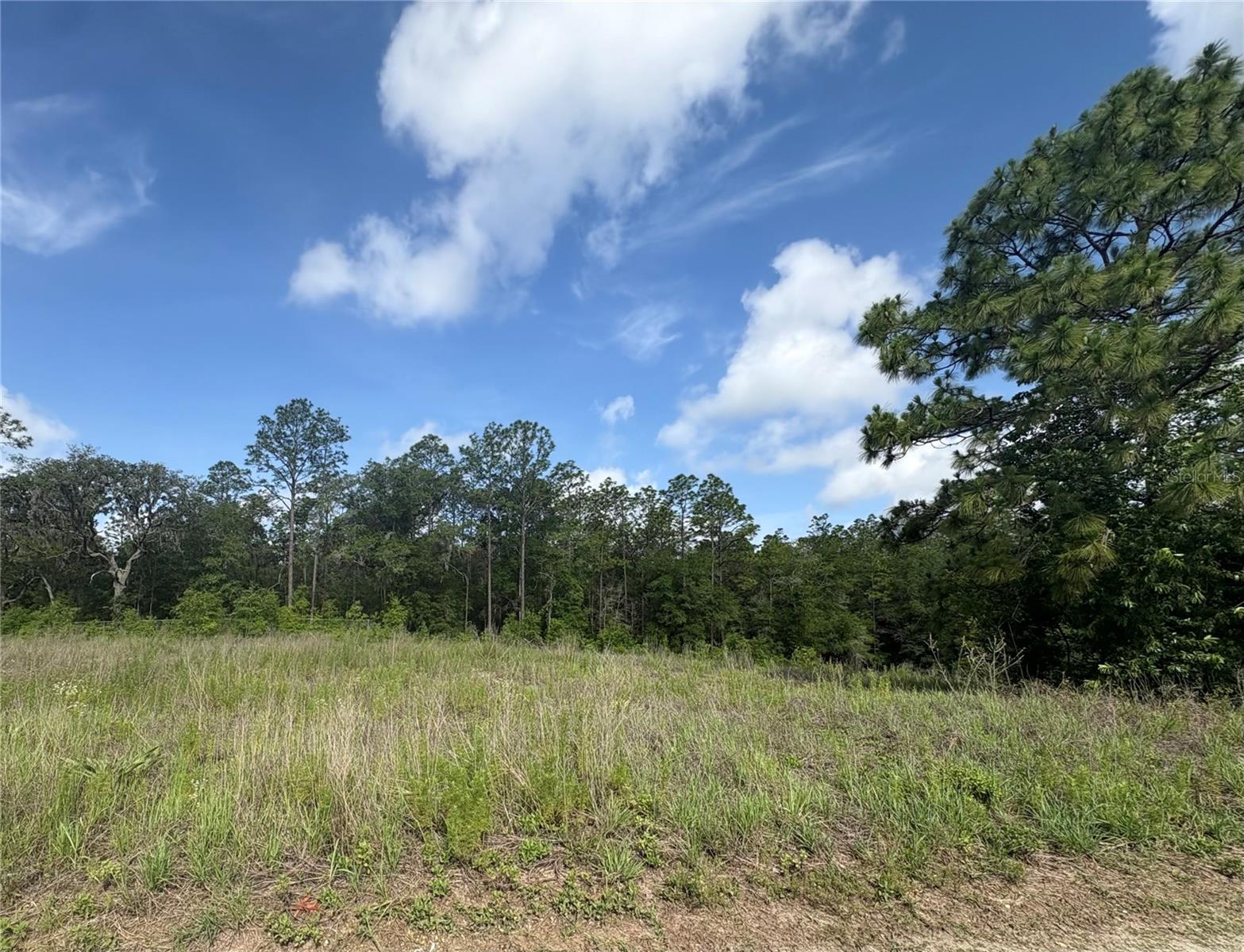 Tbd Sw 152 Ct, FL