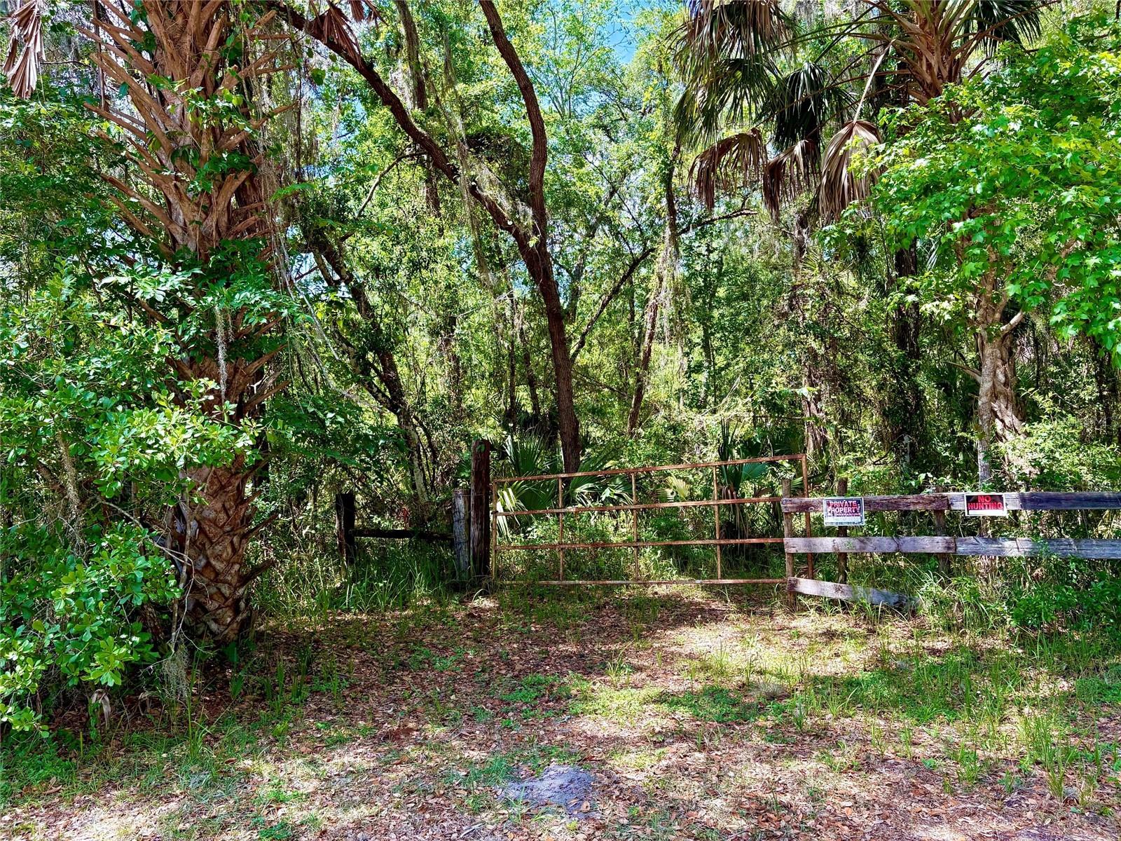 Old Crystal River Rd, FL