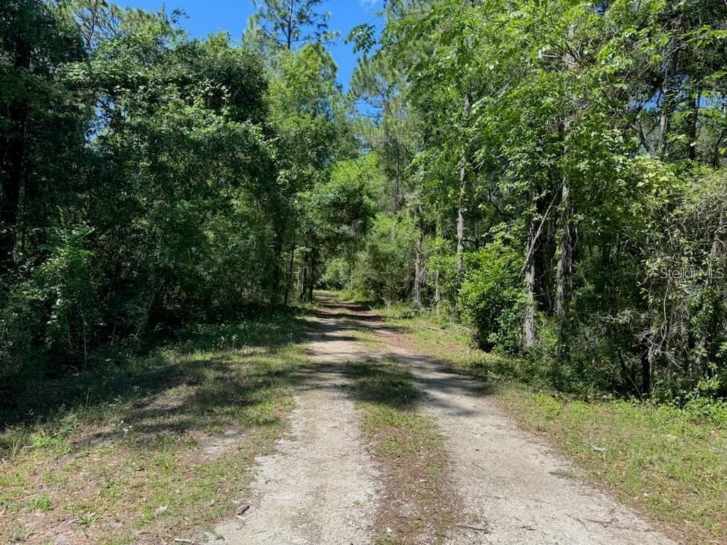 Citadel Dr, FL