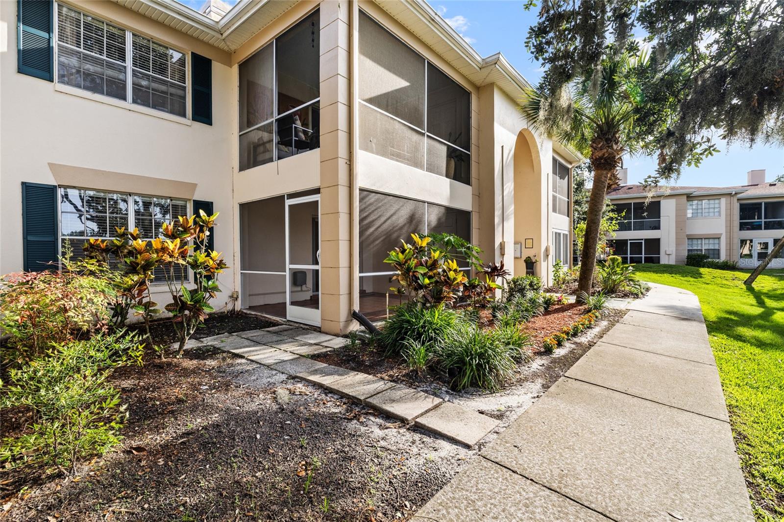 10360 Carrollwood Lane, FL