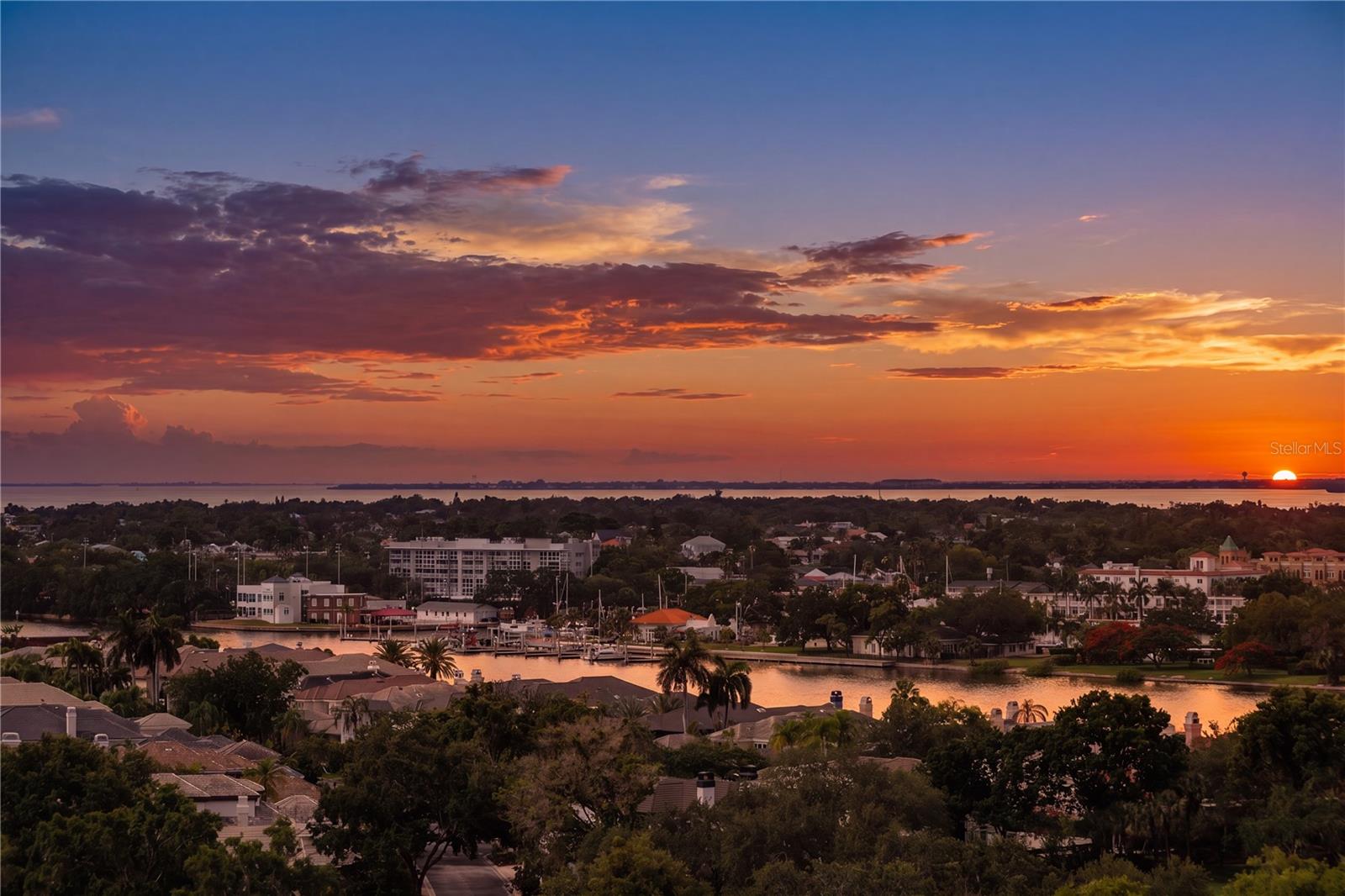 450 Knights Run Avenue, FL