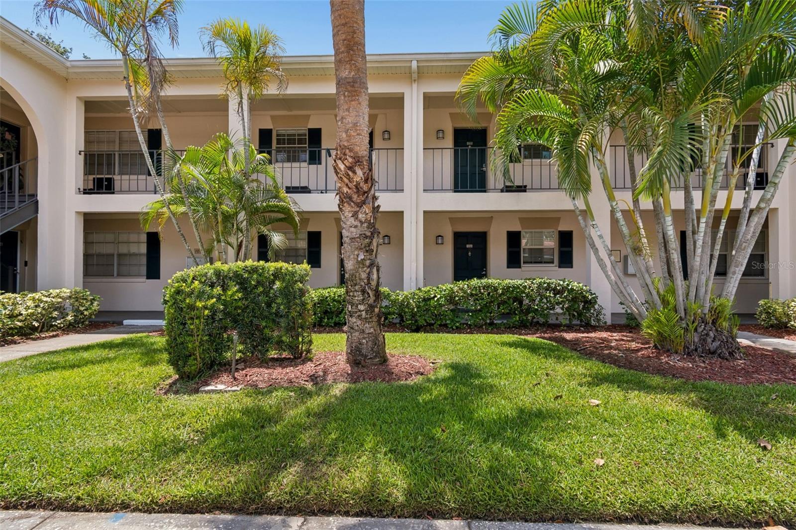 10344 Carrollwood Lane, FL