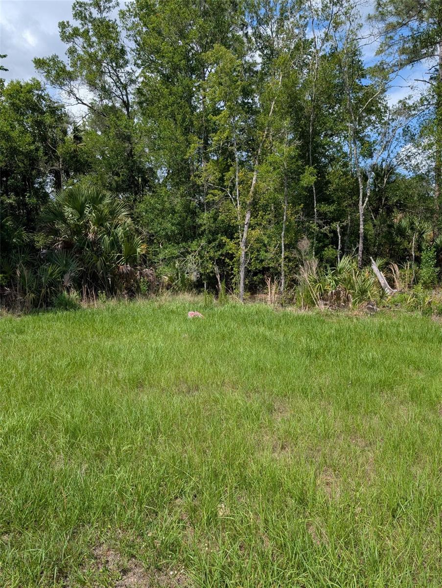 5251 Us Hwy 19 Highway, FL