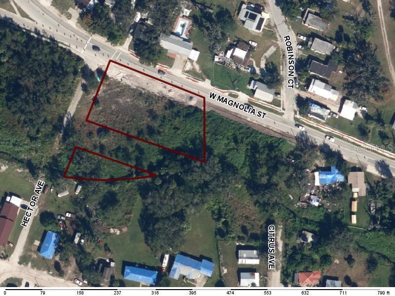 821 W Magnolia St, FL