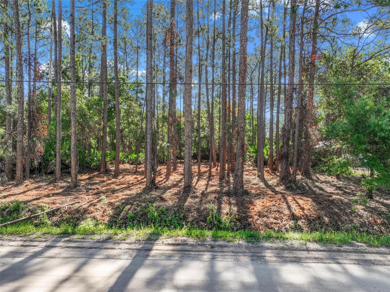 2679 Forest Park St, FL