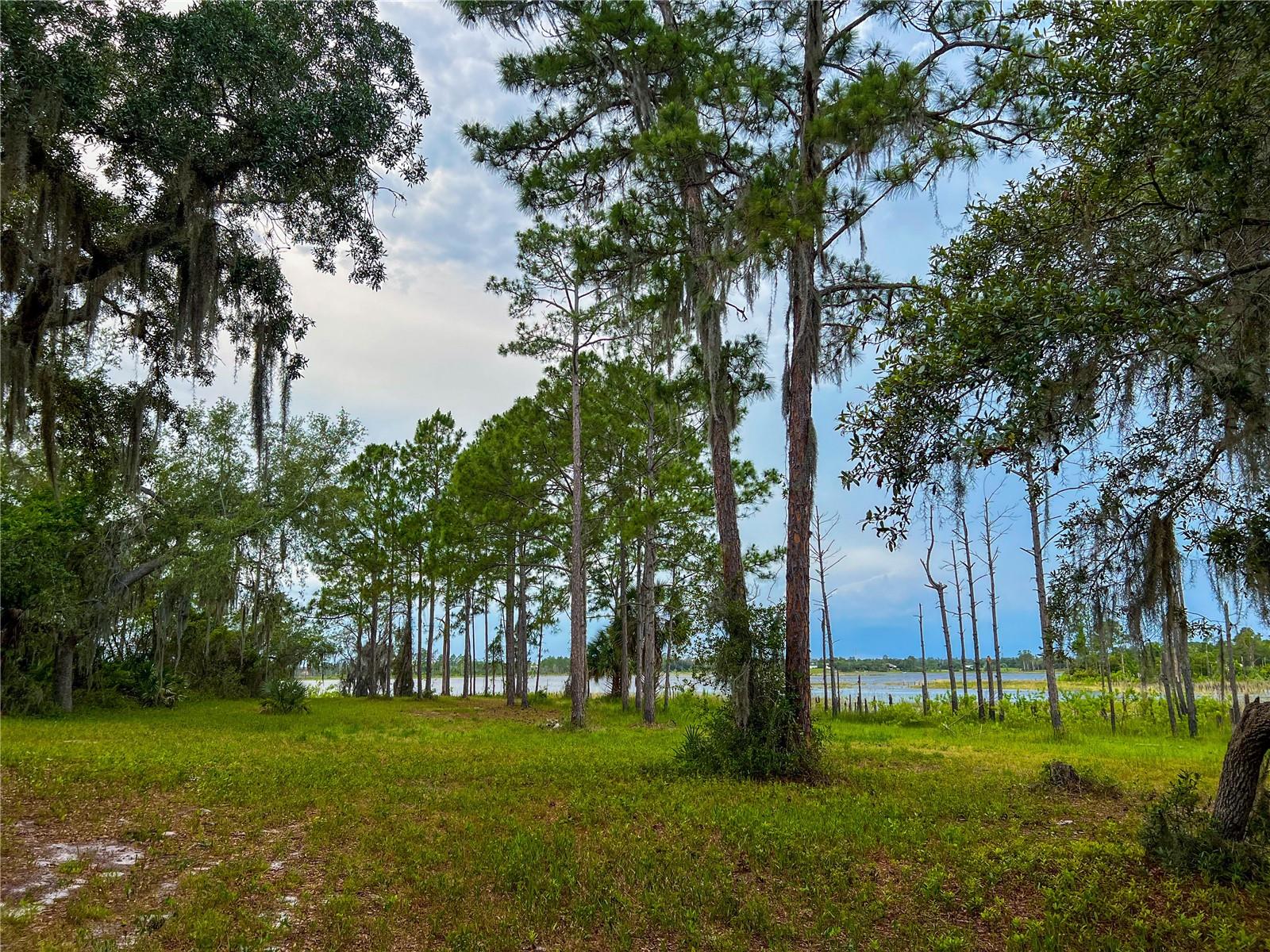 2332 Mitchell Island Rd, FL