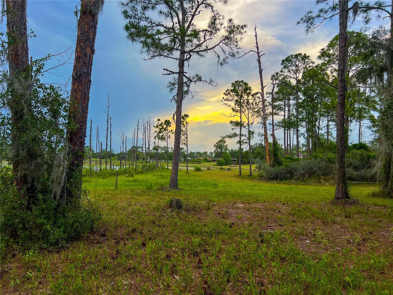 2332 Mitchell Island Road, FL