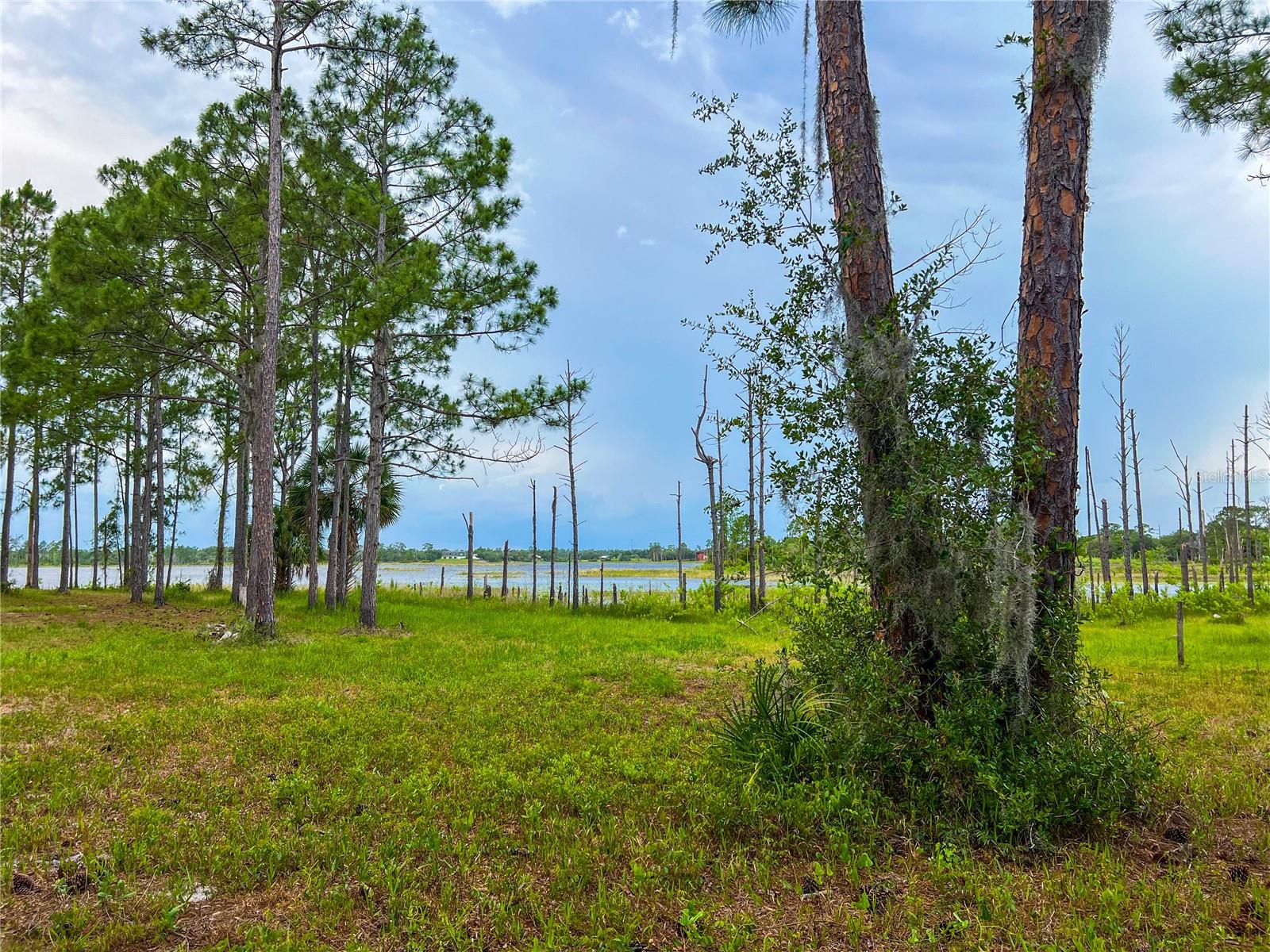 2332 Mitchell Island Road, FL