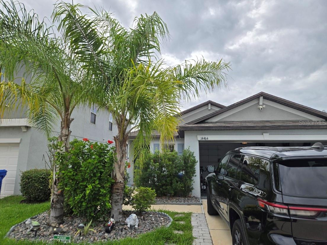 14464 English Lavender Dr, FL
