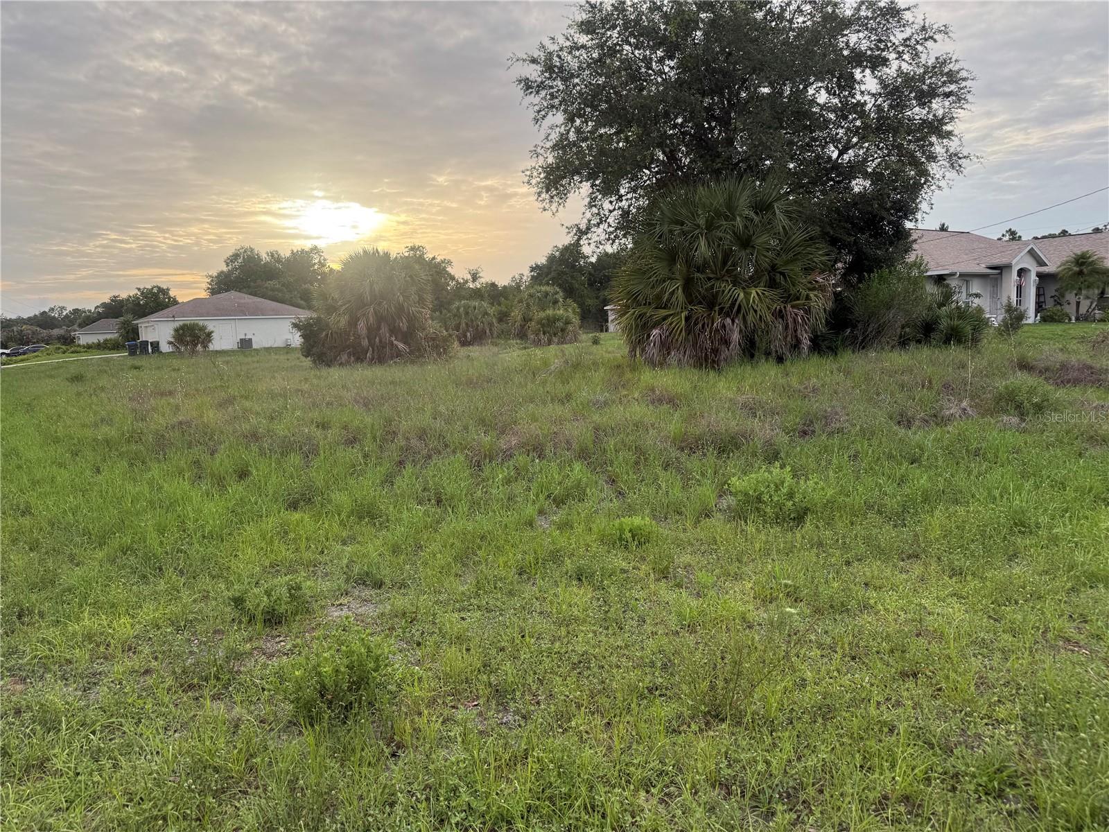Adelaide Avenue, FL