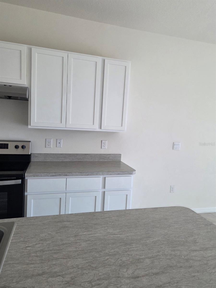 2294 Tay Wes Drive, FL