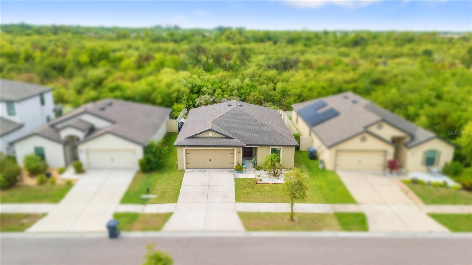 1717 Chatham Green Circle, FL