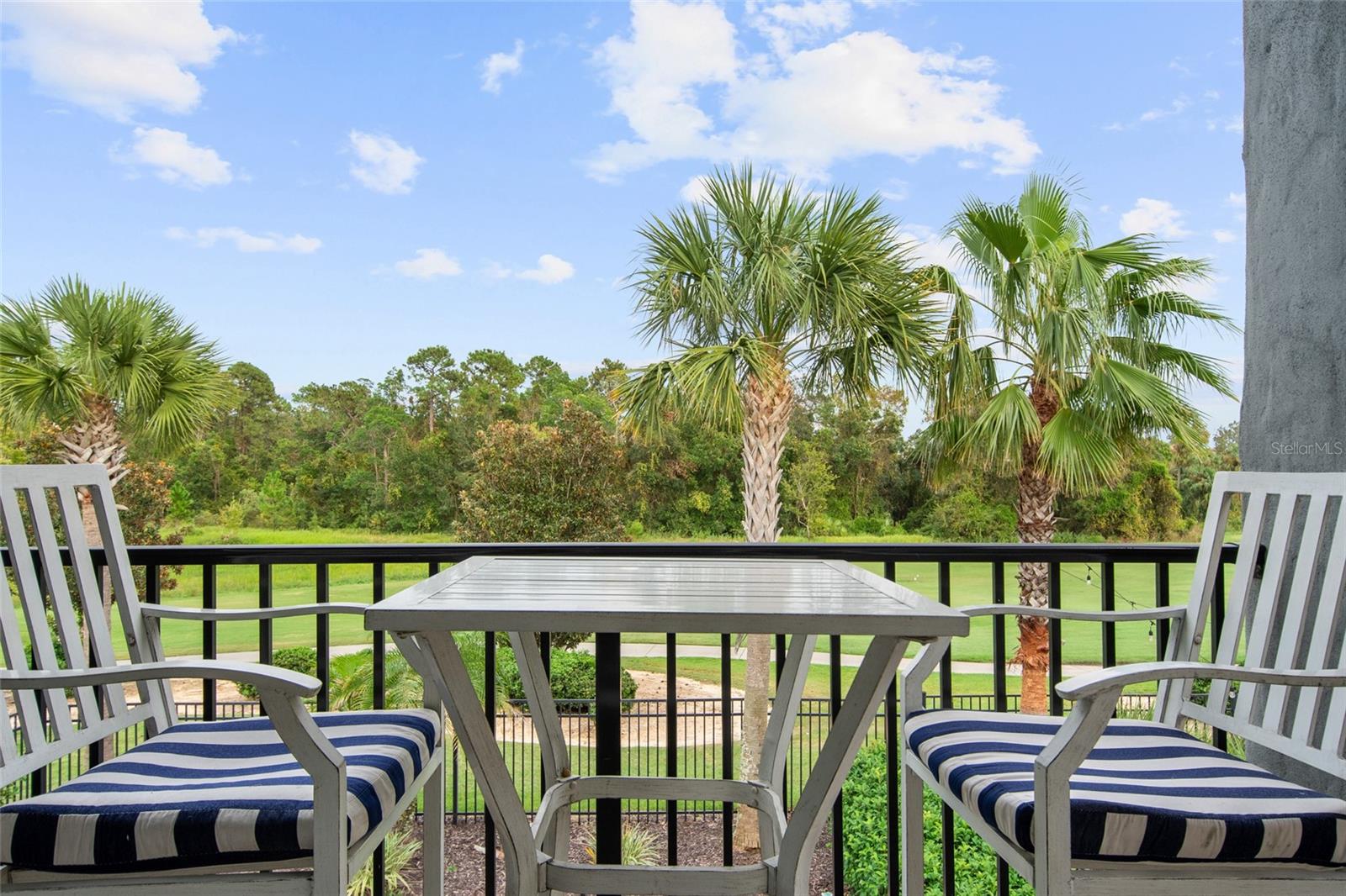 945 Desert Mountain Court, FL