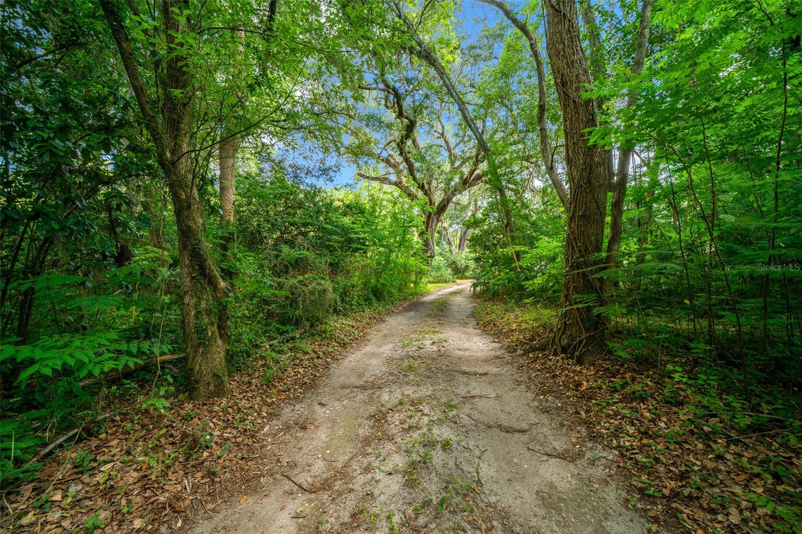 1985 97th Streed Road, FL