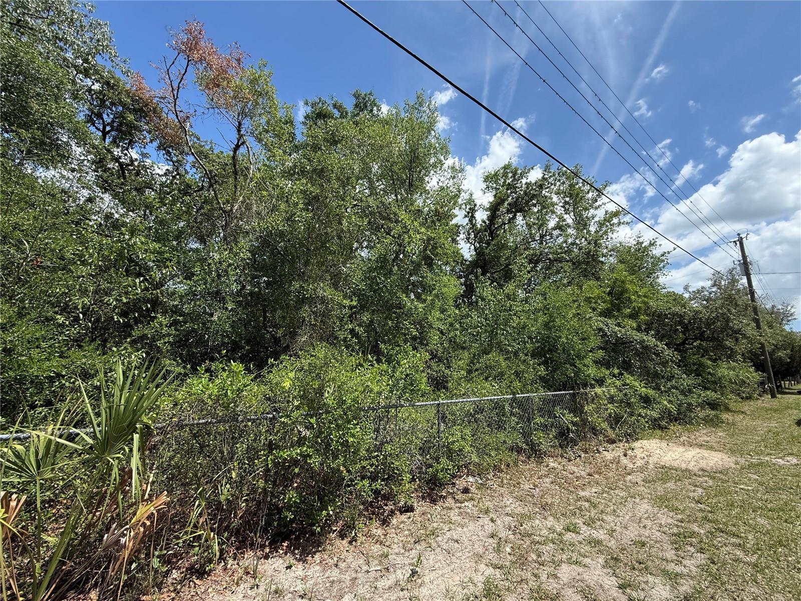 11748 Turkey Lane, FL