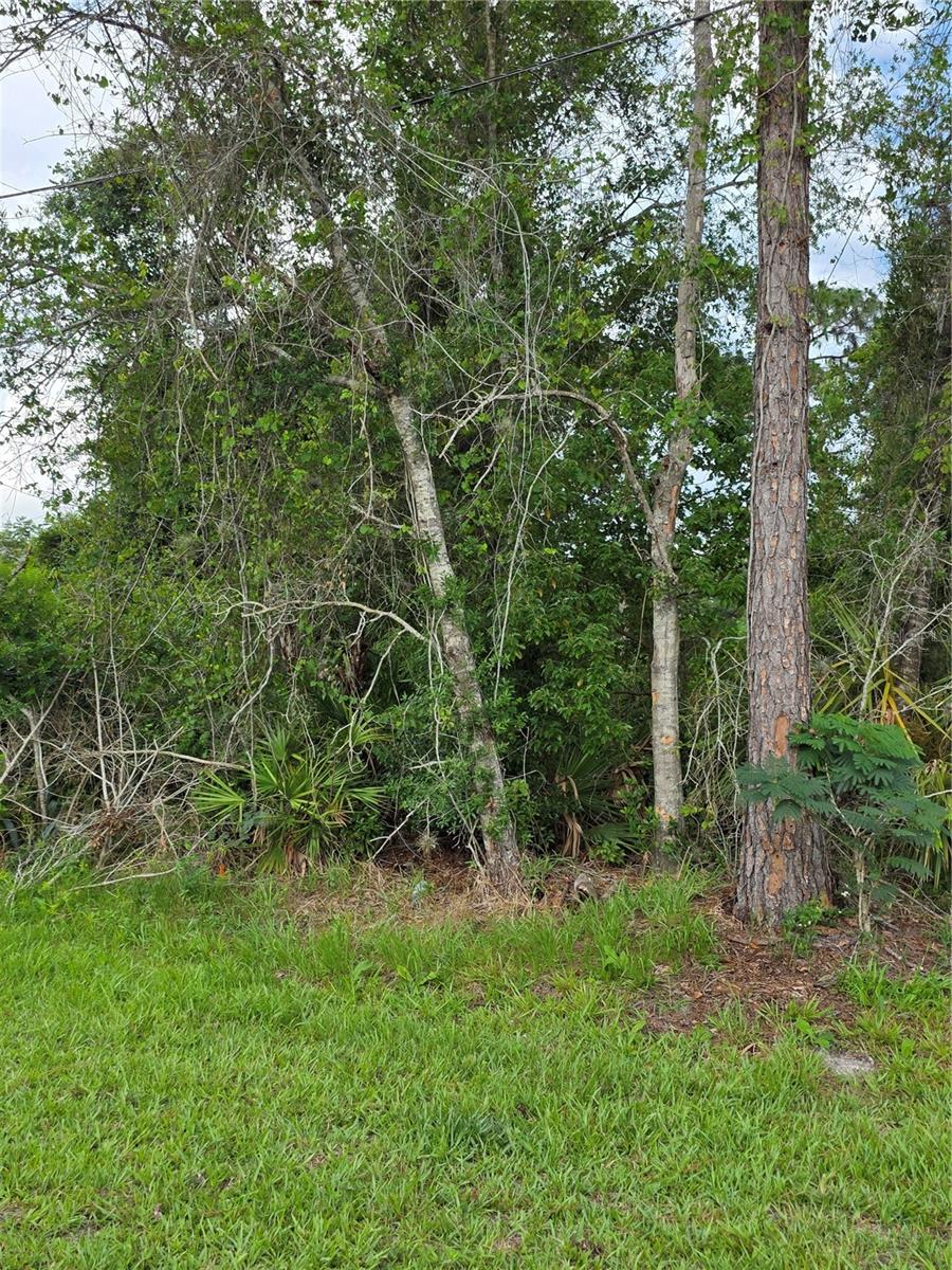 3227 Urmey Avenue, FL