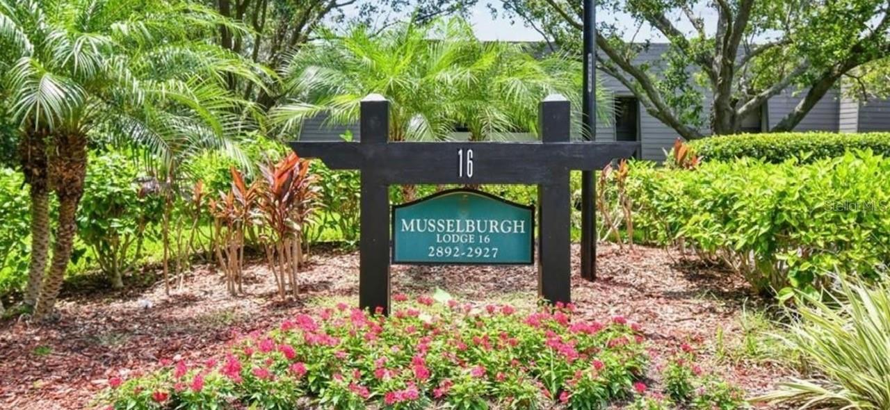 36750 Us Highway 19 N #16-105, FL
