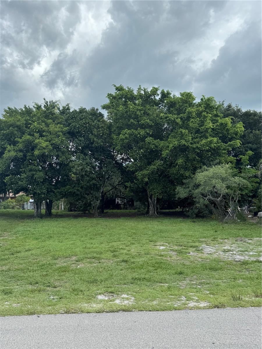 Washington Avenue, FL