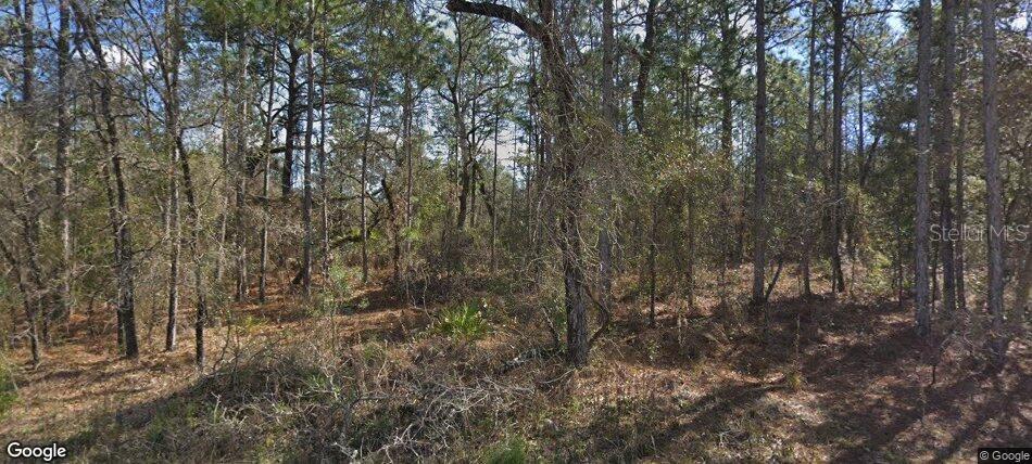 14390 English Sparrow Road, FL