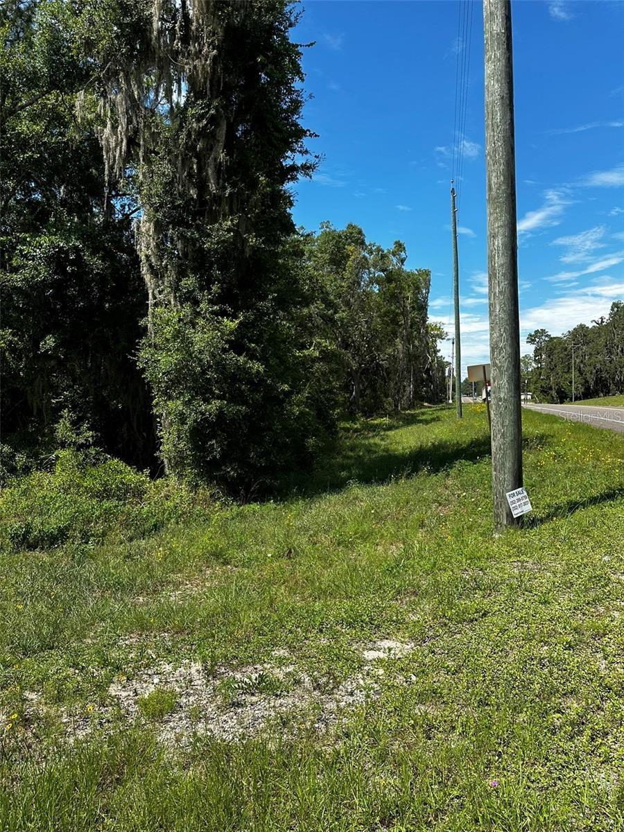 Thrasher Dr, FL