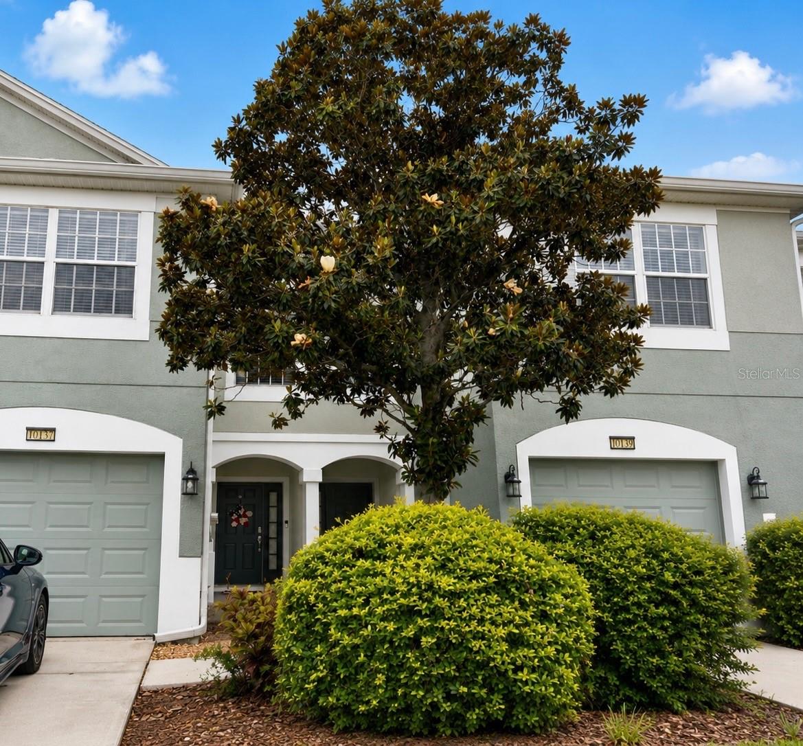 10137 Pink Palmata Court, FL