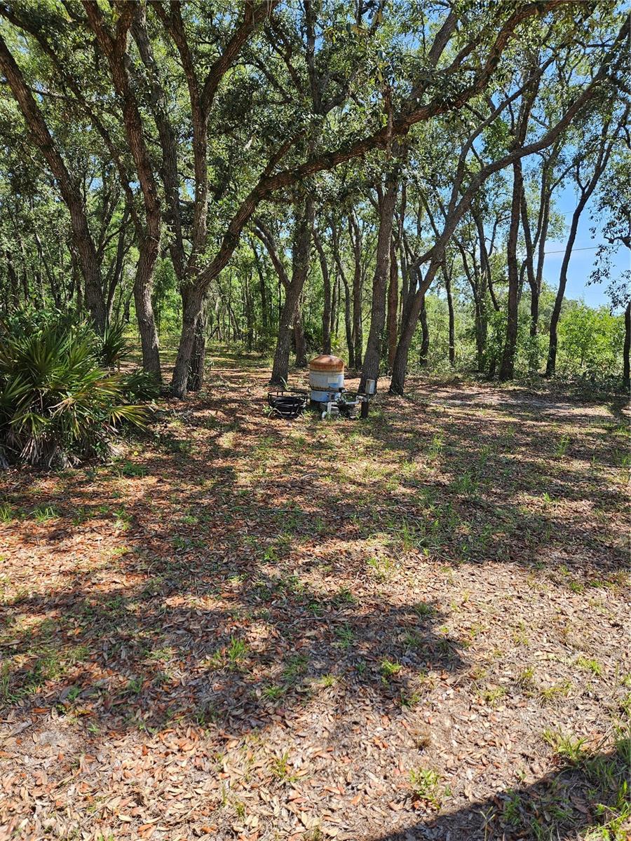 4300 Roadrunner Court, FL
