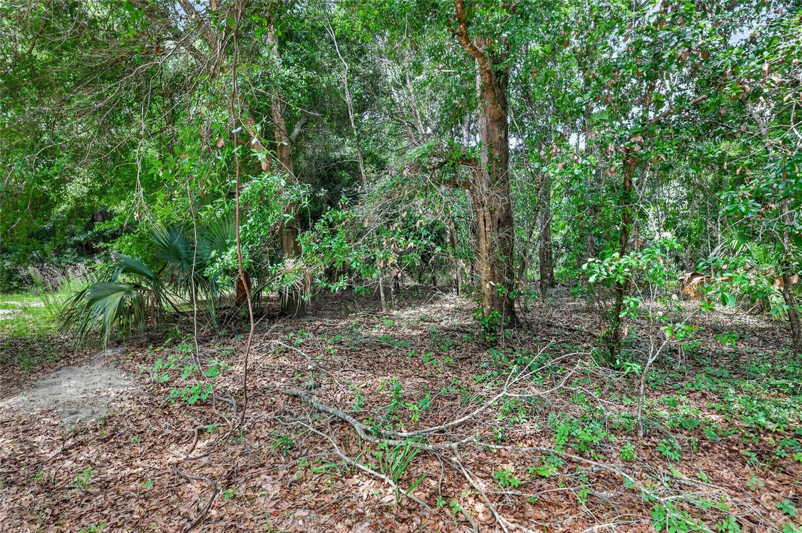 Kilker Road, FL