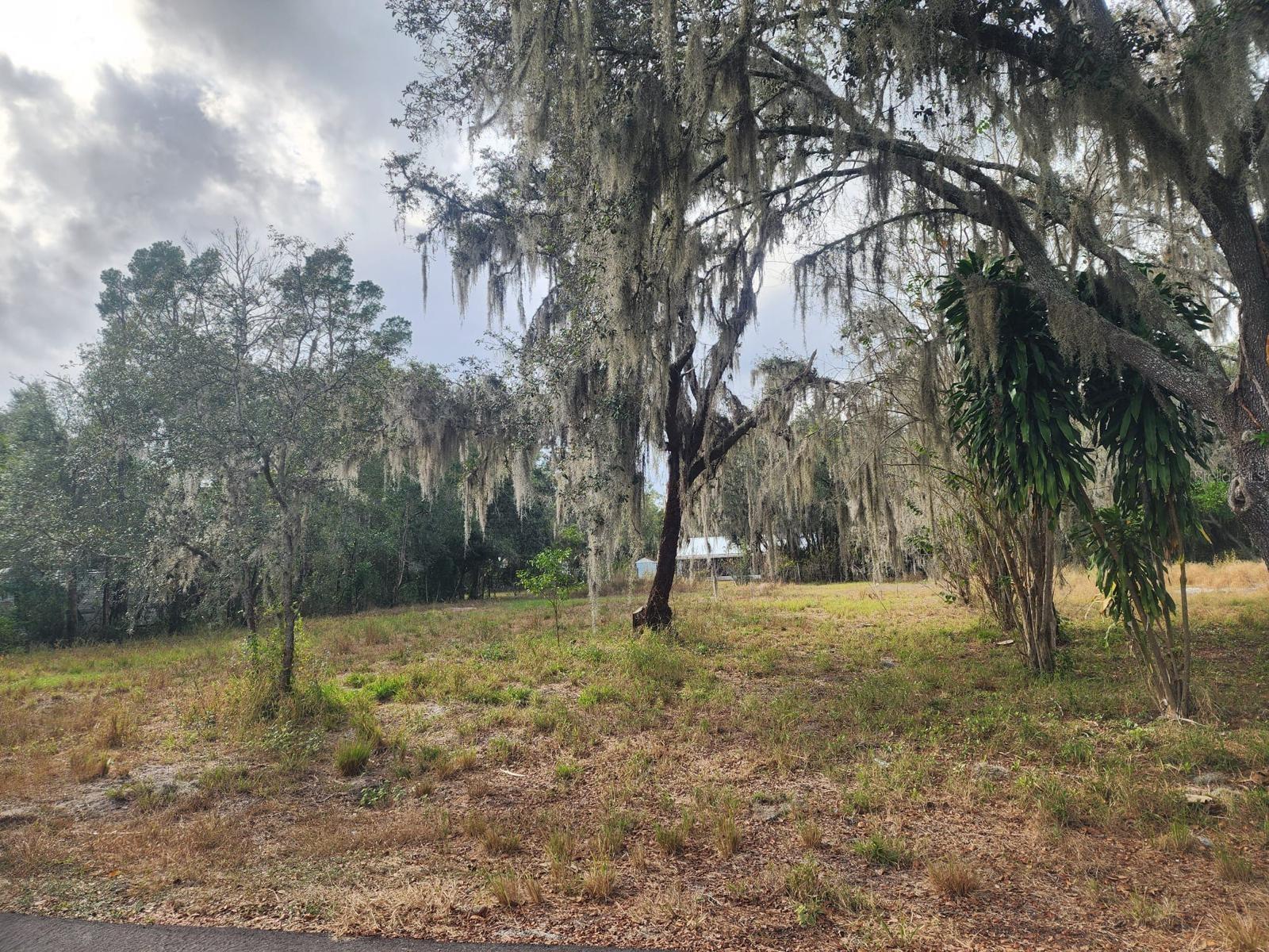 1409 Wilkinson Drive, FL